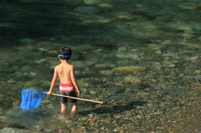 川にはどんな生き物たちが住んでるの？「ガサガサ」で探して自然を知ろう！