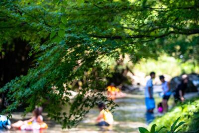 川遊びに潜む危険を知ろう！事前に知っておきたい川で遊ぶ際の注意点