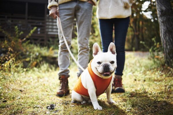 愛犬と一緒に自然を満喫♡ワンちゃん同伴にやさしいキャンプ場