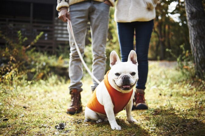 愛犬と一緒に自然を満喫♡ワンちゃん同伴にやさしいキャンプ場