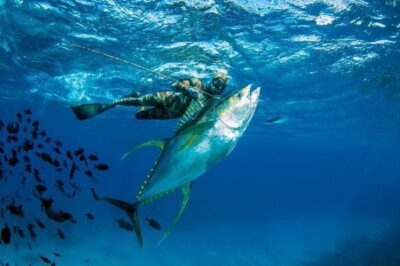 スピアフィッシング・魚突きをするにあたって〜道具の準備・前編〜