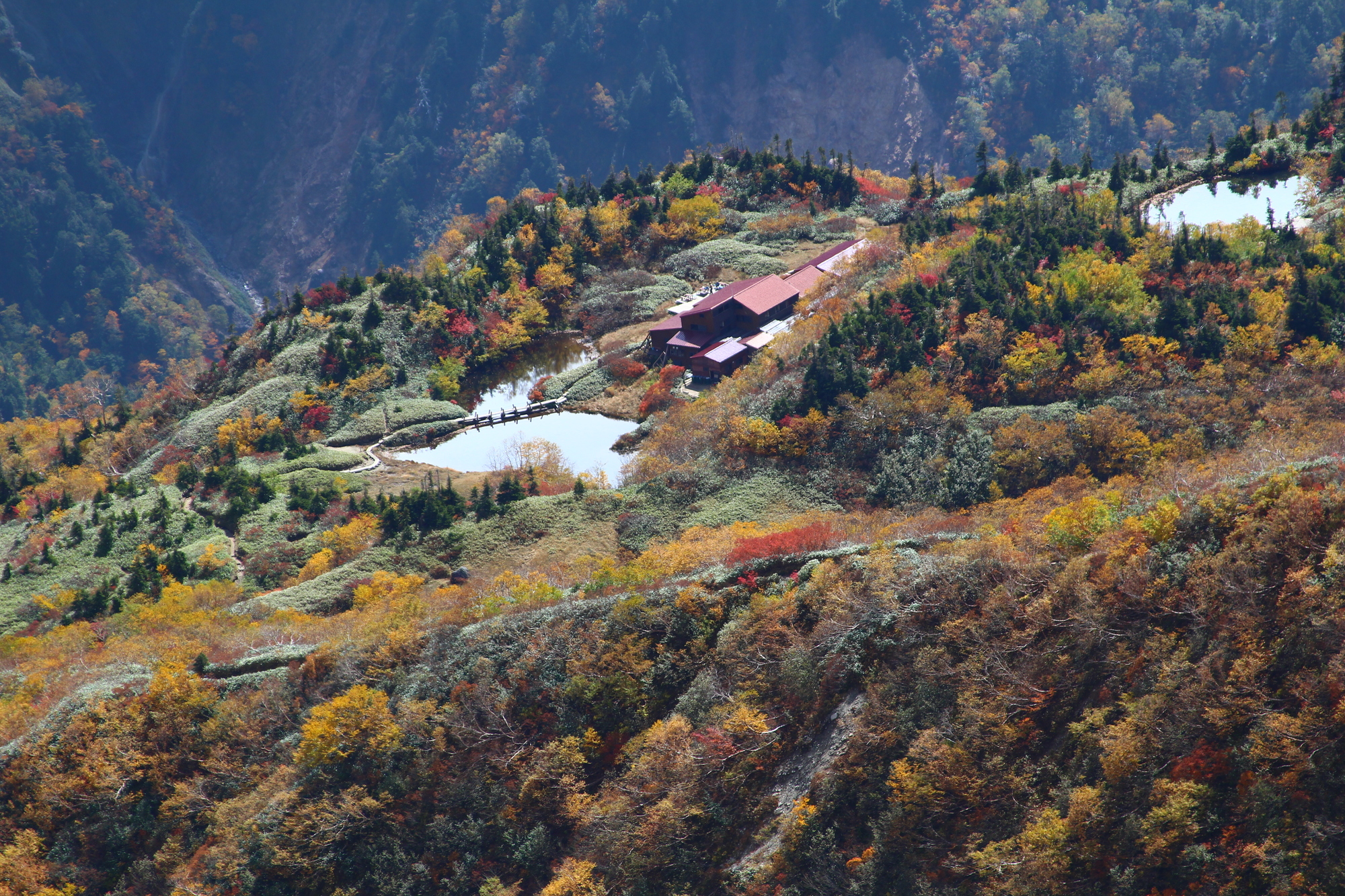 登山者を魅了する〜日本最後の秘境〜秋の雲ノ平の魅力に迫ります！