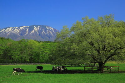 日本エコツーリズム協会がおすすめするエコツアー♪北海道・東北・関東・中部編