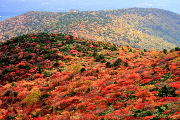秋爛漫♪登山と一緒に温泉へ！秘湯と秋山が楽しめるオススメの紅葉登山スポットをご紹介！