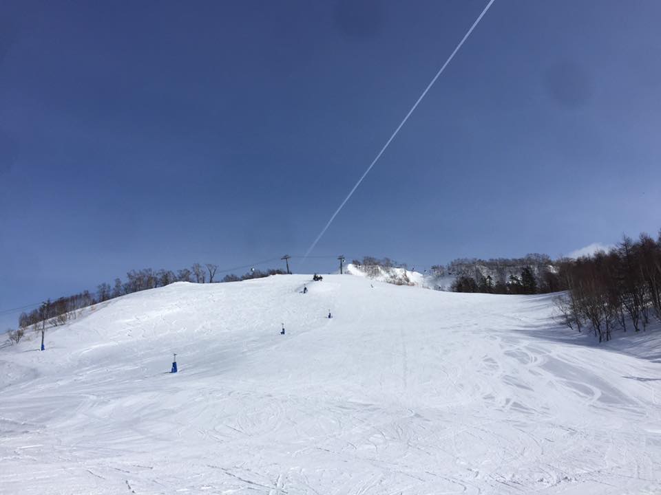 北海道　スキー