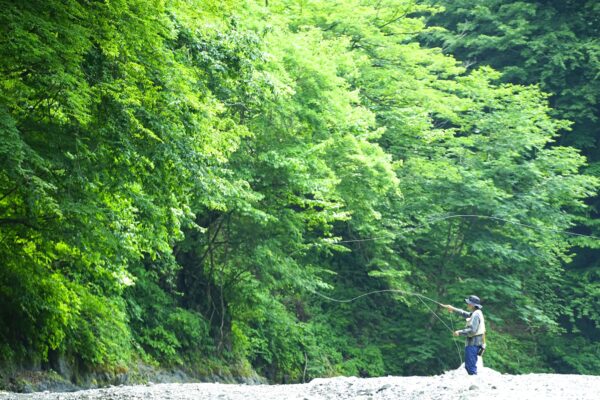 【渓流フライ入門】フライフィッシングってどんな釣り？奥深い魅力を分かりやすく解説します！