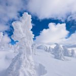 ラニーニャもエルニーニョもない今年のスキー場は雪不足？！雪がたくさん降るメカニズムと環境問題の関係は？