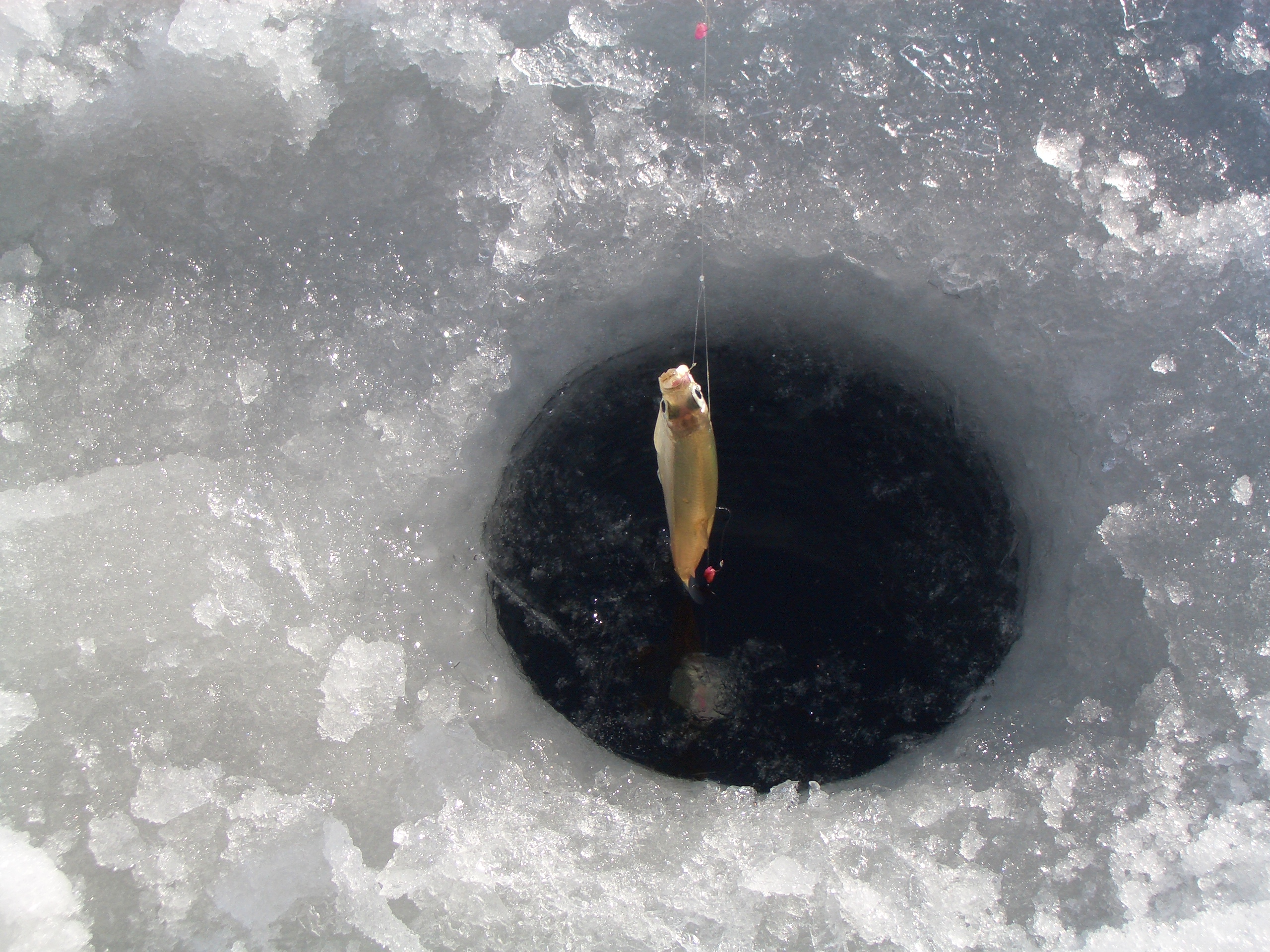 ワカサギ釣りスポット　氷上穴釣り