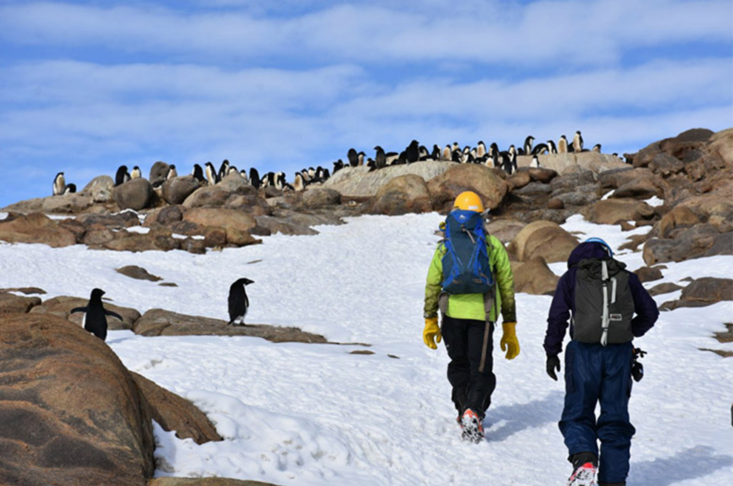 【究極の温かさ】南極観測隊が実際に使っている防寒具はコレだ！