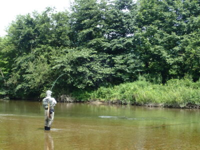 【これからはじめる渓流釣り】渓流用ウェーダーの選び方と予算別おすすめウェーダー