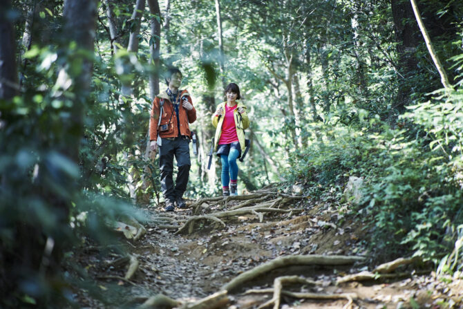 夏から秋にかけて安全にアウトドアを楽しむために！　キャンプやハイキングで遭遇する要注意生物の特徴と対策