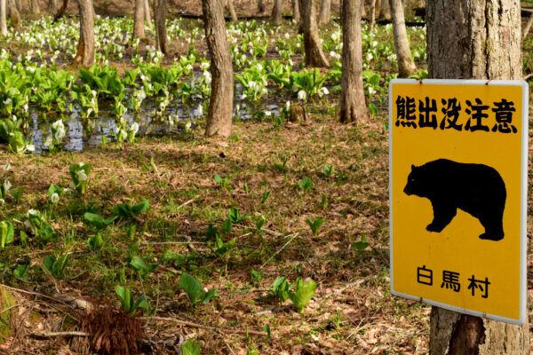 【熊注意】渓流釣りで熊に出遭わないようにするための心構え&熊対策グッズ