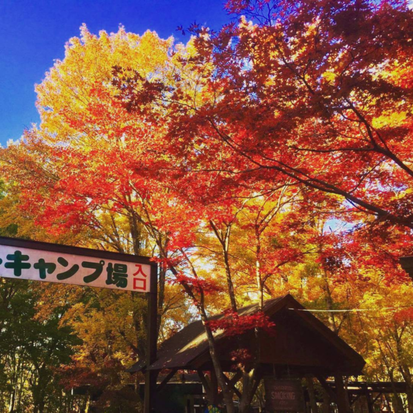 見ごろに合わせて予約しよう♪紅葉が綺麗なキャンプ場～関東・甲信越編