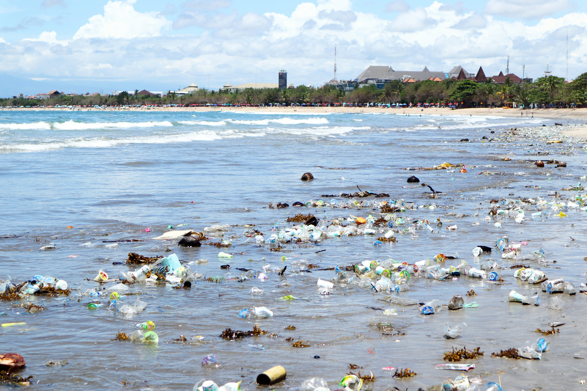 海のゴミ問題の救世主となるか？「Seabin」が浮遊ゴミを吸い寄せる！