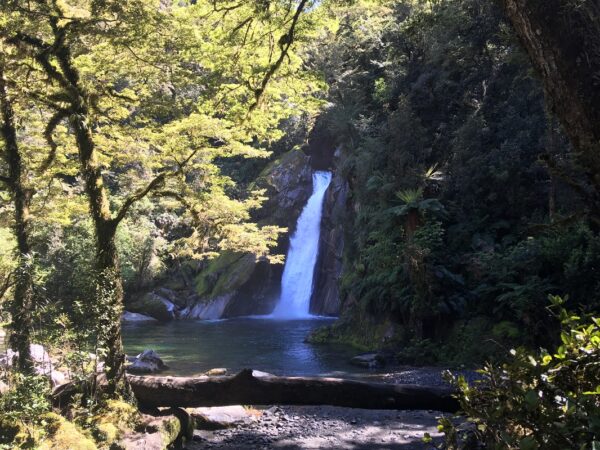 【体験記】ニュージーランドでトレッキングや登山を楽しむときの注意点や日本との違い～入門編「Great Walk（グレイトウォーク）」について②～