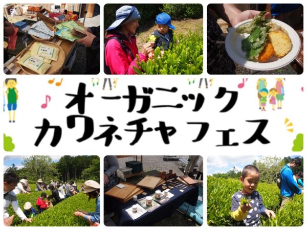川根の大自然を満喫する、ナチュラル・オーガニックなライフスタイルイベント『オーガニック川根茶フェス２０１９』を開催