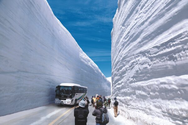 立山黒部アルペンルート、白力の雪壁“雪の大谷”を抜けて全線開通！ 雪と星が奏でる、春の立山絶景ハーモニーへ