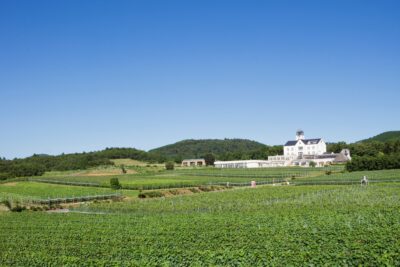 静岡県伊豆市にて中伊豆ワイナリーのＧＷイベント 「Go! Go! Winery 2019」4/27～5/6開催