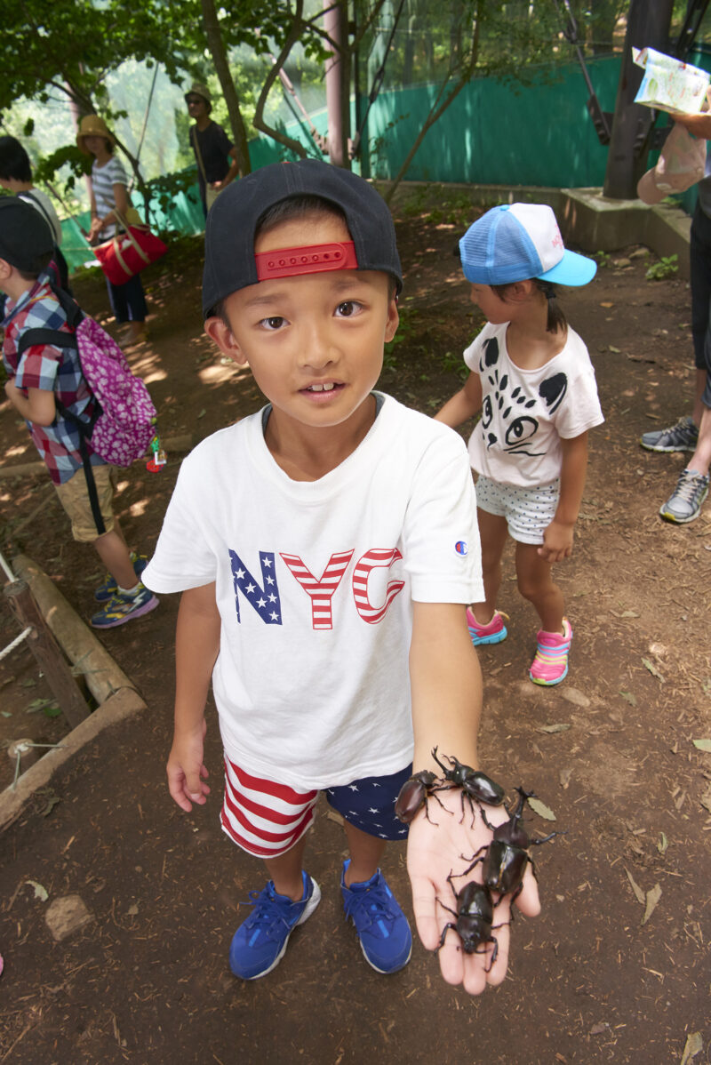 長野県佐久市で国内最大級「カブトムシドーム」