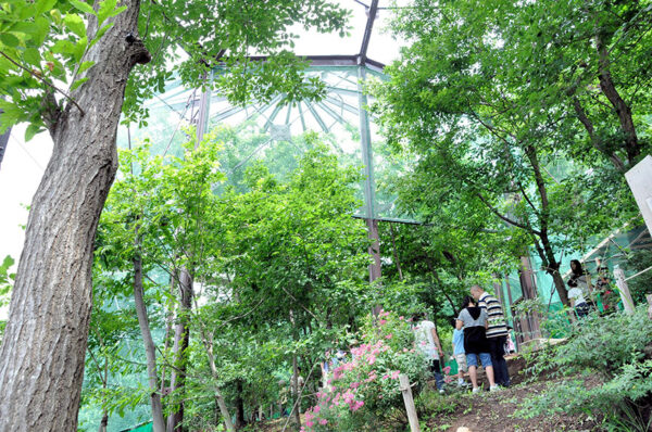 佐久平ハイウェイオアシス「パラダ」で国内最大級「カブトムシドーム」 特別無料公開