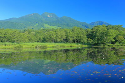 日本百名山の妙高山へ登る！妙高山登山の魅力をご紹介します