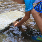 【鹿児島】夏休みにおすすめ川遊びスポットをご紹介します！