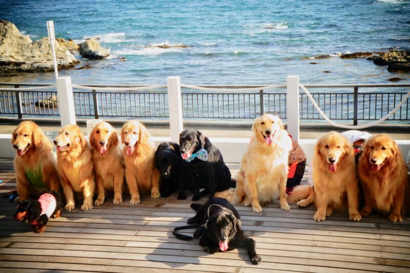 葉山ビーチハウスSunny Funny Days