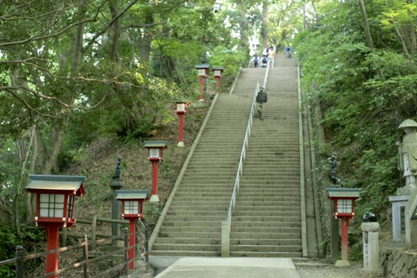 四季折々の自然が楽しめる高尾山のおすすめ登山コース3選