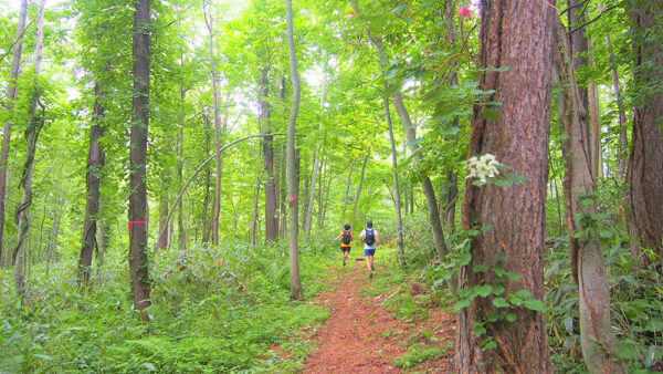 夏のスキー場で「山歩き」や「ジョギング」北海道・ルスツリゾートにSALOMON監修の新企画 『RUSUTSU TRAIL』がオープン