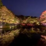 ライトアップされた紅葉とアートを楽しむ 六甲高山植物園 夜の紅葉散策 10月18日(金)～11月24日(日)