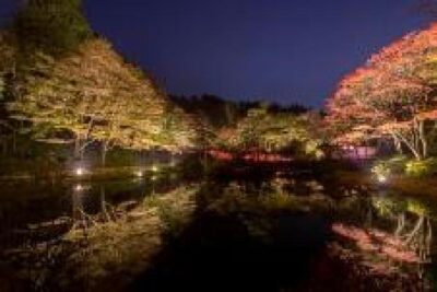 ライトアップされた紅葉とアートを楽しむ 六甲高山植物園 夜の紅葉散策 10月18日(金)～11月24日(日)