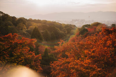 清水寺は日本屈指の紅葉の名所！絶景紅葉ポイントを5つ厳選してご紹介