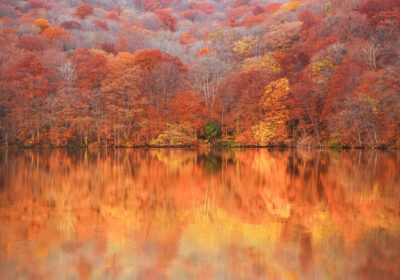 蔦沼の紅葉時期はいつ？おすすめの時間帯とアクセス方法を紹介