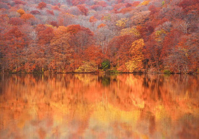 蔦沼の紅葉時期はいつ？おすすめの時間帯とアクセス方法を紹介