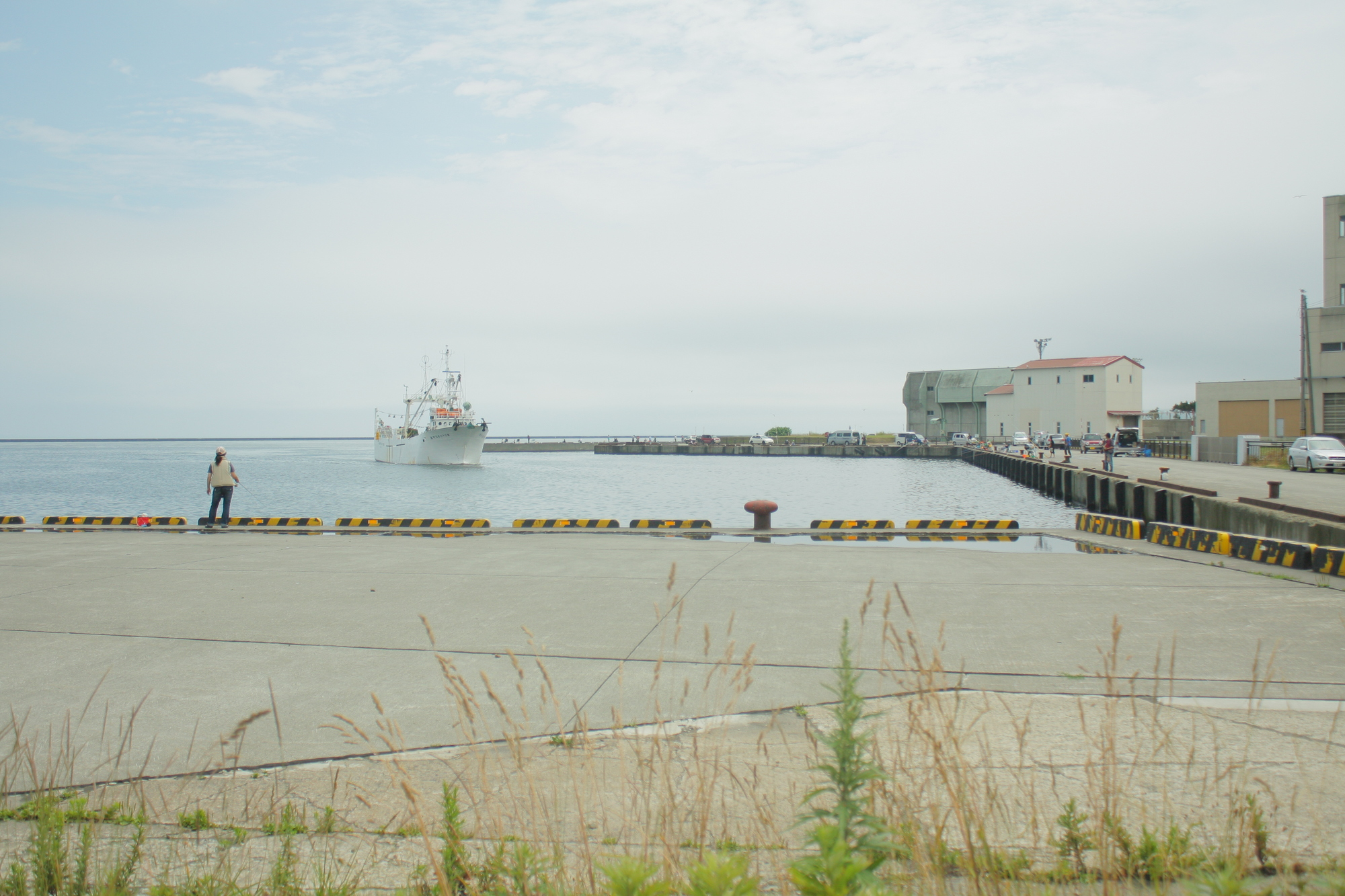 小樽港の釣り場おすすめトップ3と狙える魚種 北海道の小樽港は道央屈指の好釣り場 Greenfield グリーンフィールド アウトドア スポーツ
