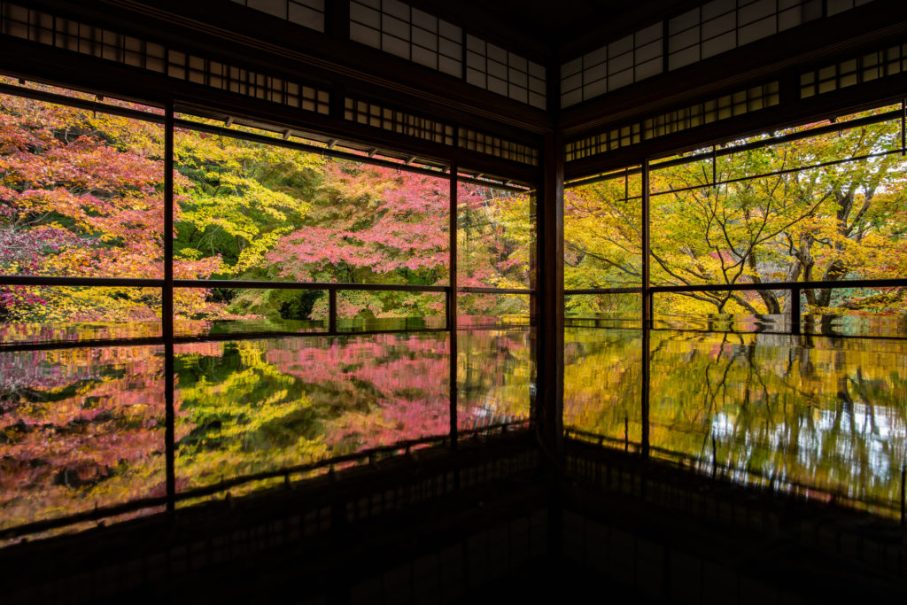 京都,紅葉狩り