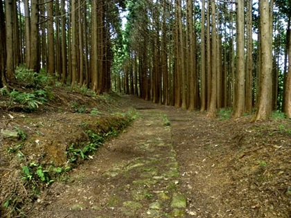 大江山連峰トレイル 大江山古道普請ツアー