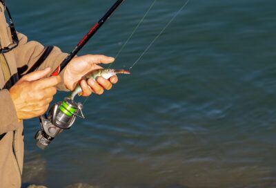 どの釣り方で釣り上げる？初心者がまず覚えておきたい釣りの種類を徹底解説