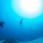 【保存版】沖縄ダイビングまとめ！小浜島のダイビングポイント