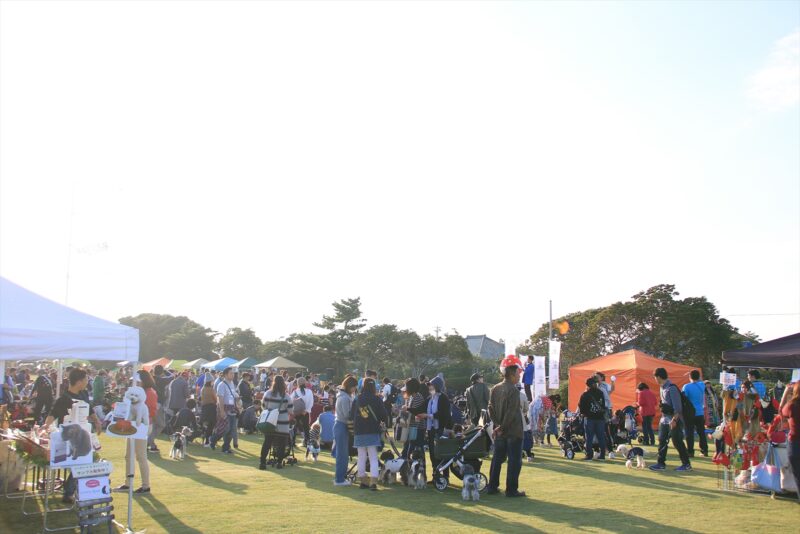 九十九里ビーチドッグフェスティバル2019