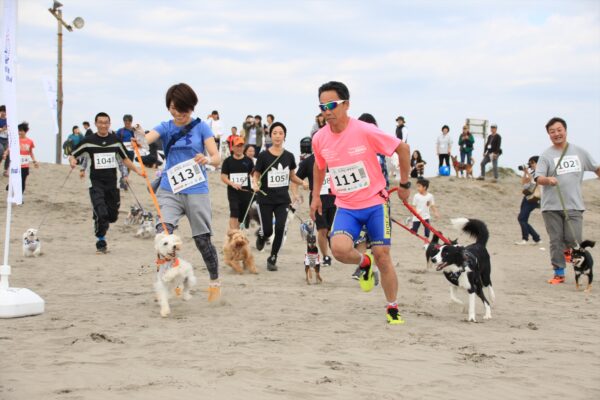 愛犬と一緒にドッグフレンドリービーチリゾートを堪能する★九十九里ビーチドッグフェスティバル2019