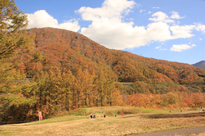 苗場スキー場で紅葉空中散歩