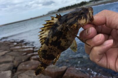 奥深い穴釣りの世界へ！気軽に楽しめる穴釣りの方法とおすすめアイテム10選