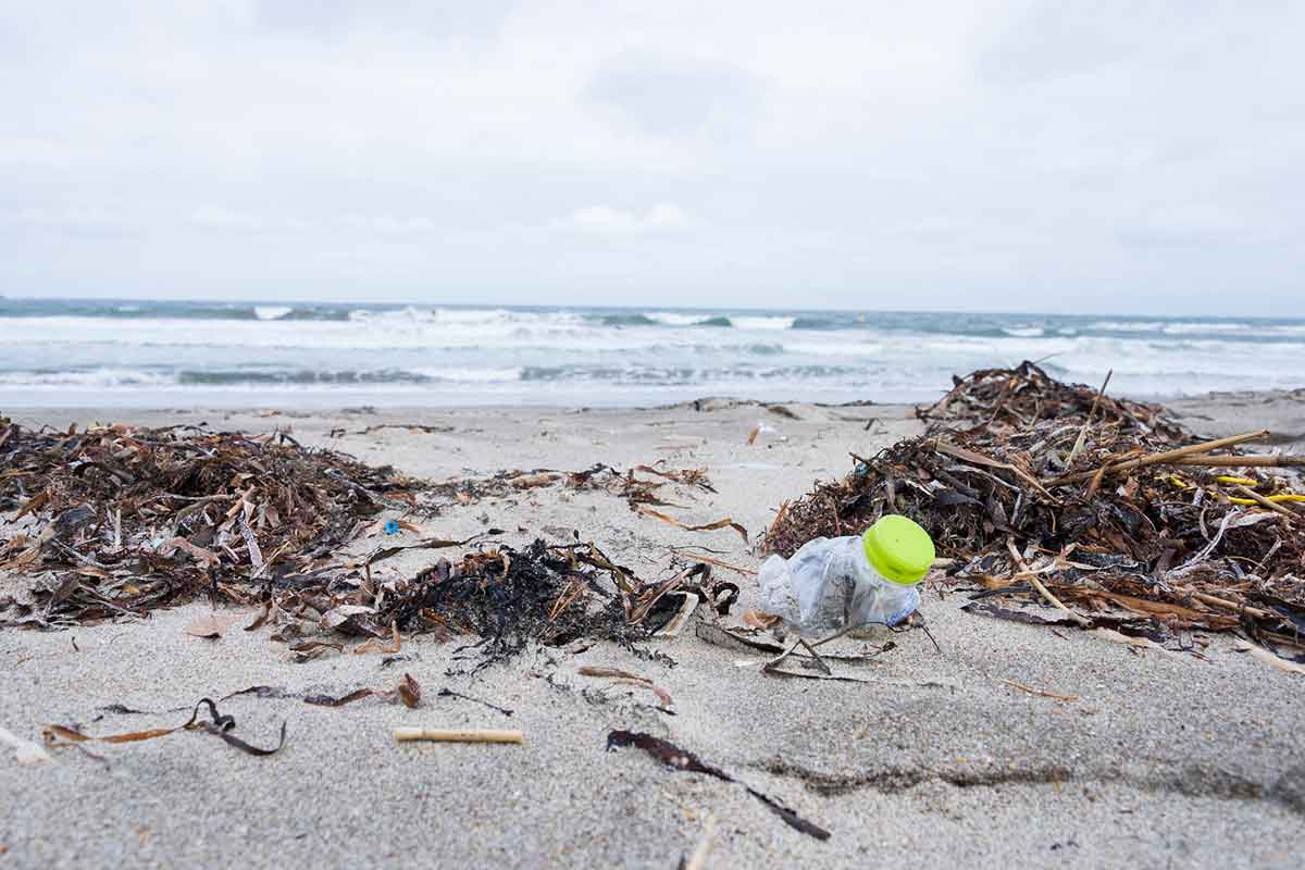 海洋プラスチック　ごみ