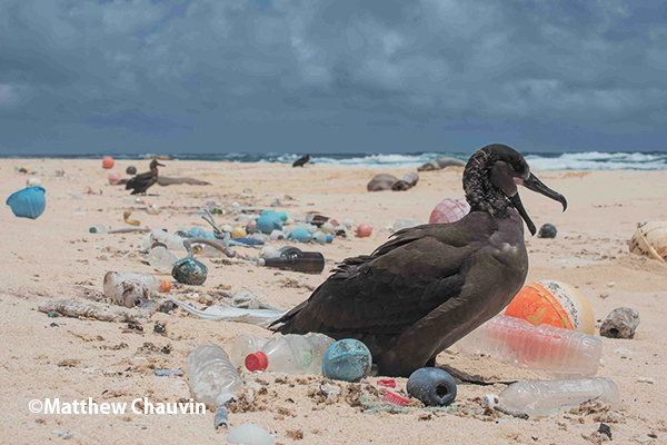 SDGs時代の環境問題最前線『脱プラスチックへの挑戦』