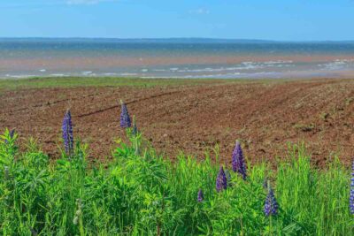 沖縄の赤土等流出問題を考える！私たちにできることはあるのか？