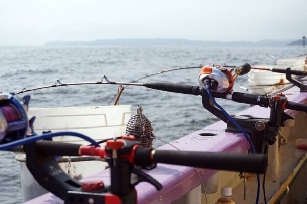 大物釣りの基本スタイル！釣果安定の落とし込みを釣り方や仕掛けまで解説