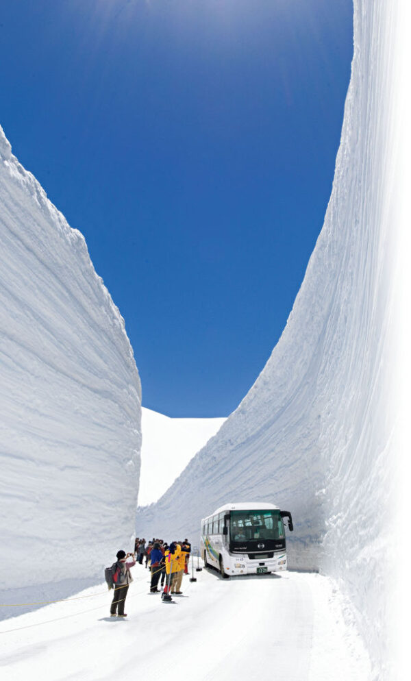 立山黒部アルペンルート全線開通！ 大暖冬にも負けず、立山は積雪十分