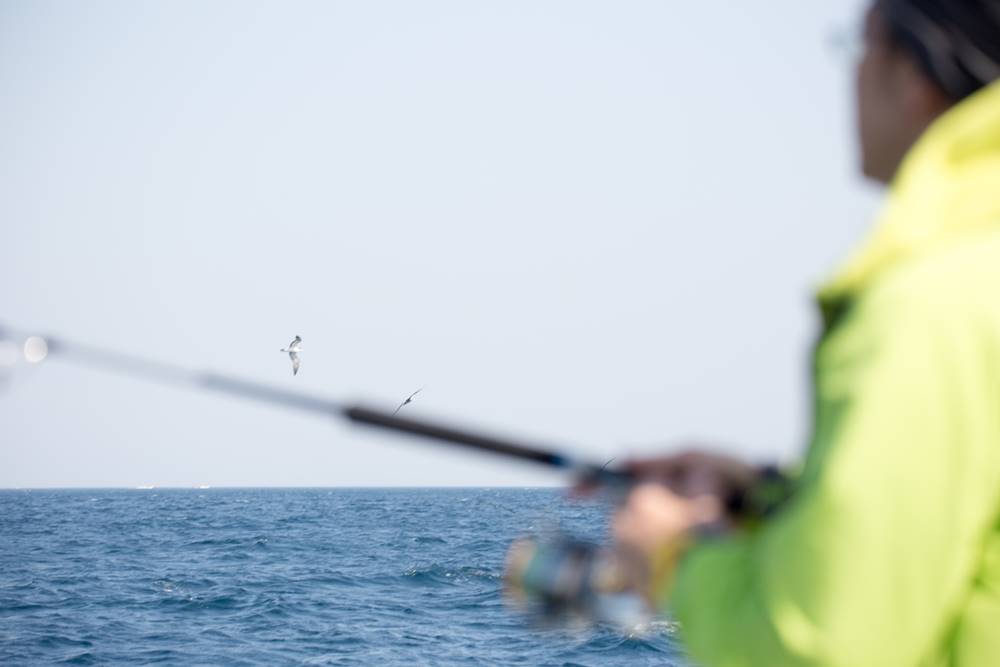 釣果安定の落とし込みを釣り方や仕掛けまで解説 大物釣りの基本スタイル Greenfield グリーンフィールド アウトドア スポーツ