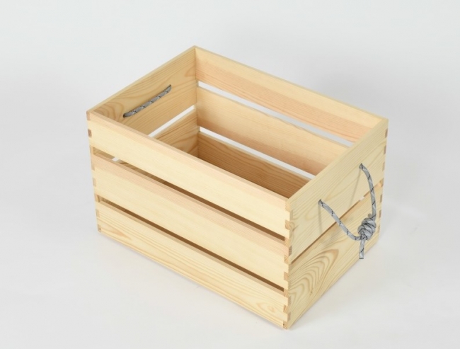 pioneer plants(パイオニアプランツ)